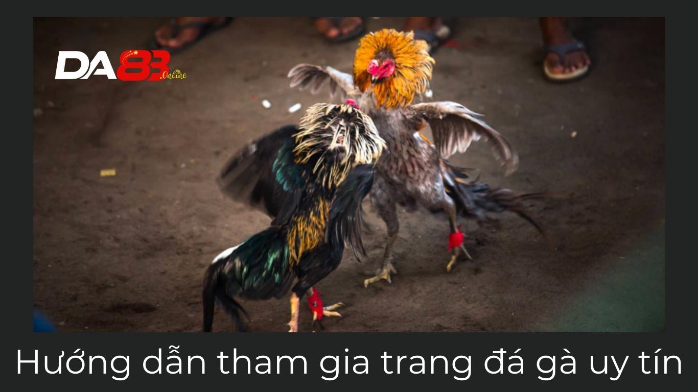 Hướng dẫn tham gia trang đá gà uy tín DA83